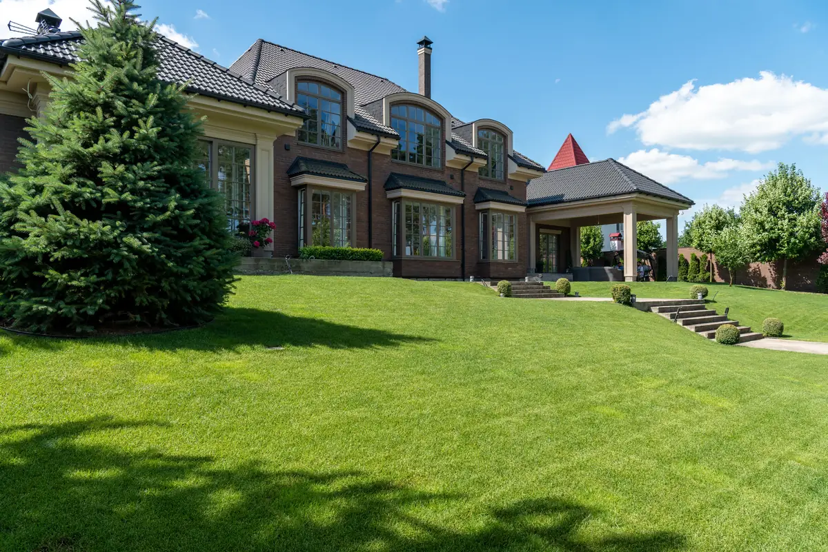 A mature landscaped garden with lawn and structural planting