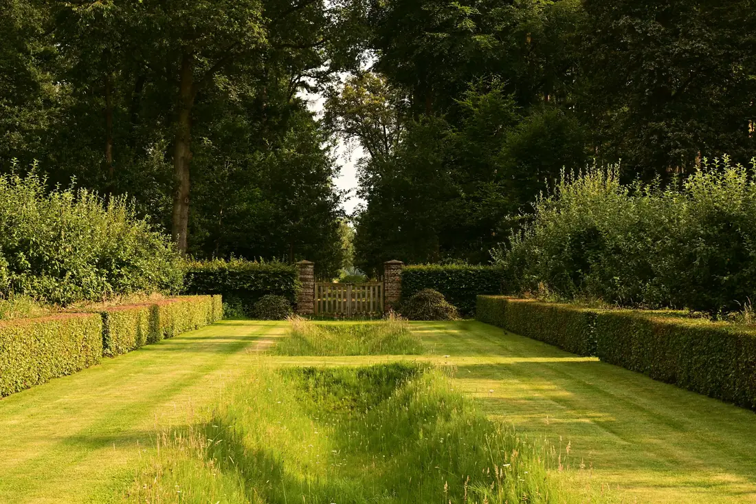 The same path cleared, re-laid and edged with trimmed hedging