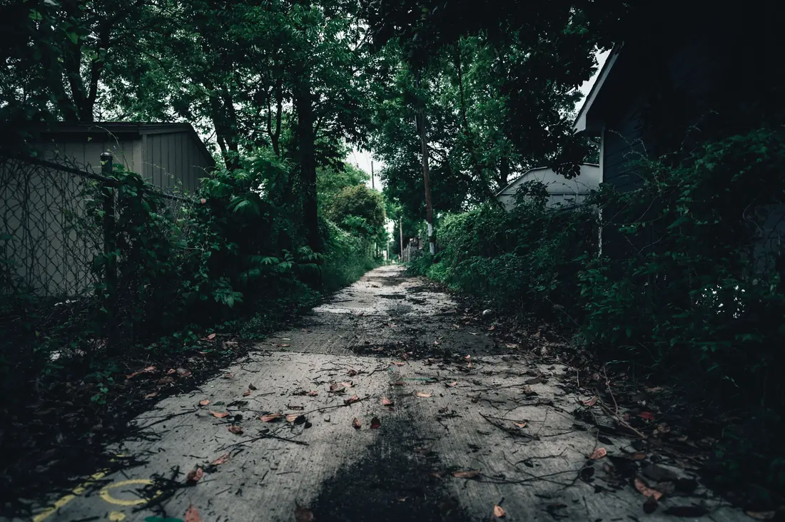 An overgrown garden path lost under untrimmed planting