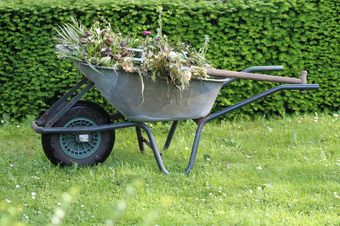 A neglected garden corner filled with weeds and garden waste